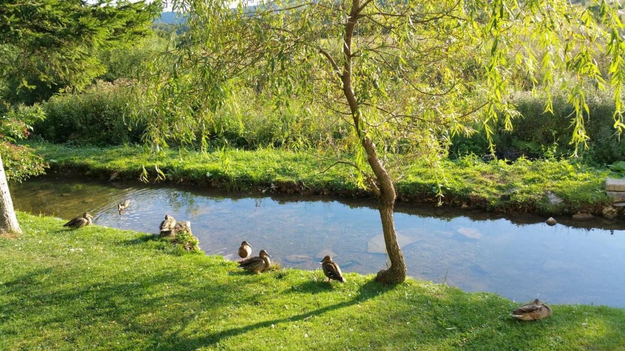 Hotel Pansion House Prijeboj Plitvička Jezera Esterno foto